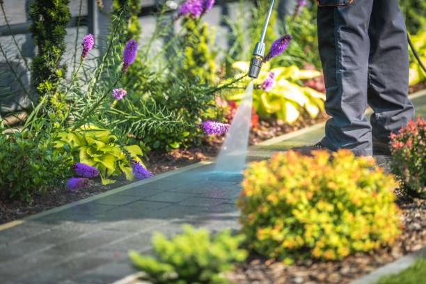 Best Parking Lot and Garage Cleaning  in Wamac, IN