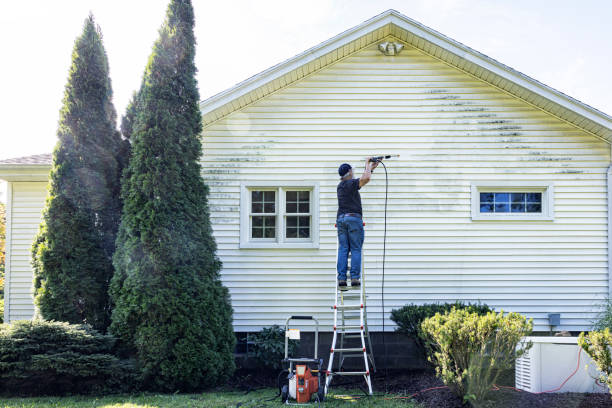 Best Sidewalk and Walkway Cleaning  in Wamac, IN